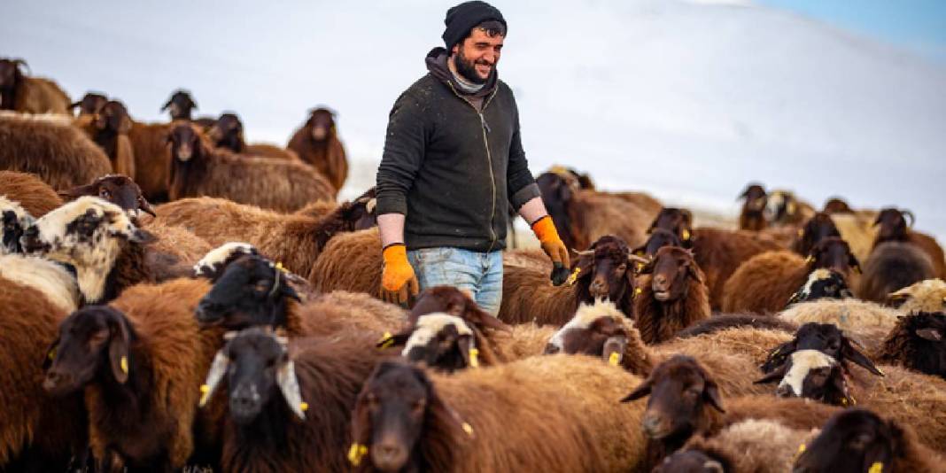 Kar 3 metreyi buluyor, köy kar altında kalıyor: Besicilerin mesaisi soğukla daha da zorlaşıyor 6